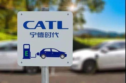 科技財經動態 裁員、投資辟謠與慈善新動向