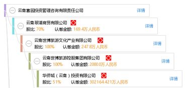 云南富園投資管理咨詢有限責任公司 專業投資管理與咨詢服務解析