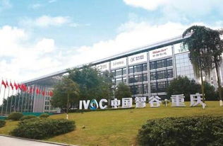 世界了解重慶的窗口 蓬勃發展的重慶科技服務