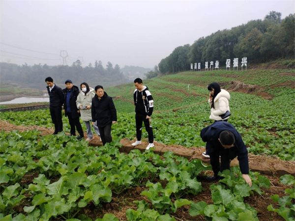 春耕備耕進行時——四川供銷在行動系列報道②